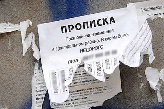 прописка в Химках